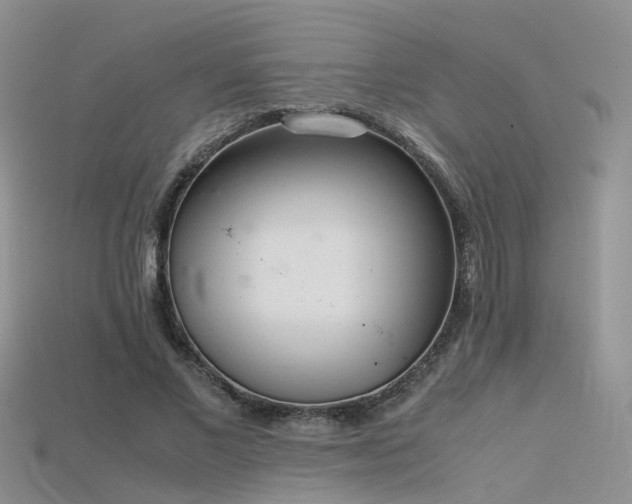 X0000115720685200911121451