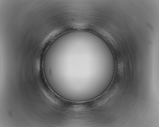 X0000115720686200911121451