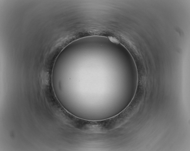 X0000115720689200911121451