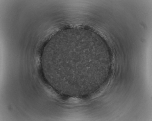 X0000115720699200911121451