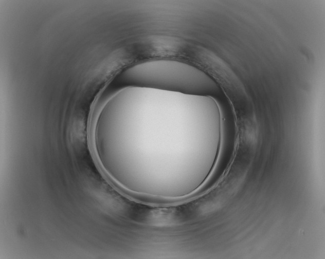 X0000115720700200911121451
