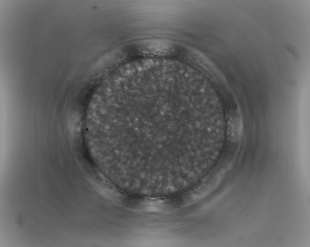 X0000115720701200911121451
