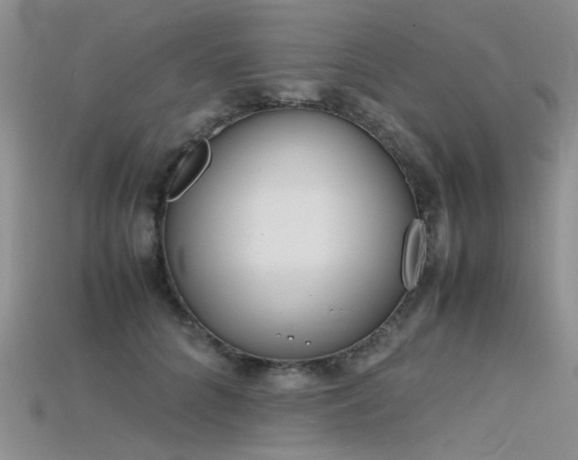 X0000115720704200911121451