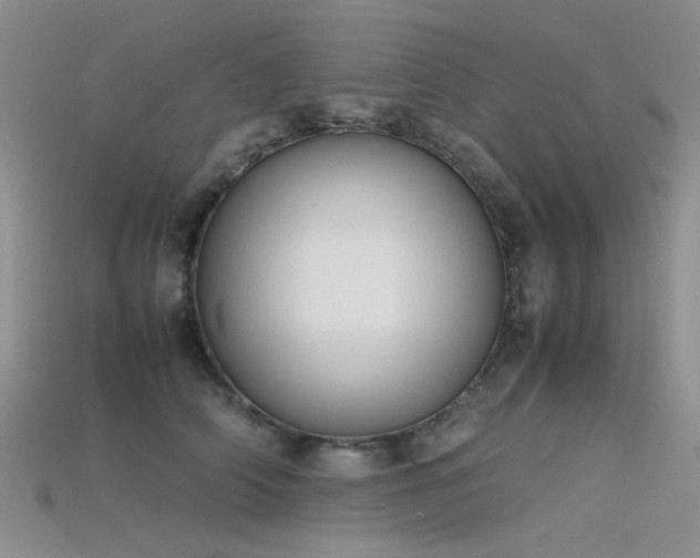 X0000115720706200911121451