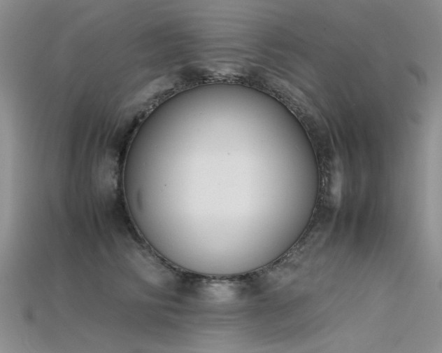 X0000115720710200911121450