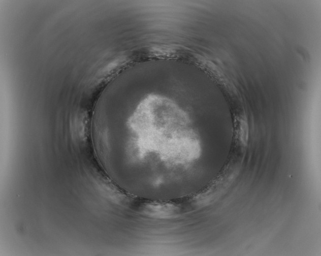 X0000115720712200911121450
