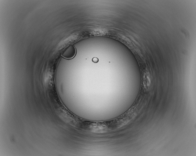 X0000115720714200911121450