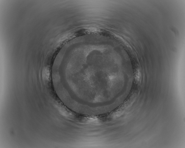X0000115720715200911121450