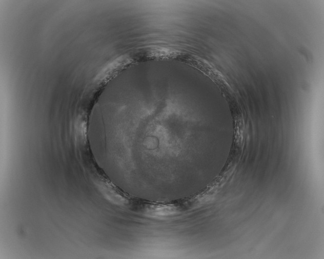 X0000115720716200911121450
