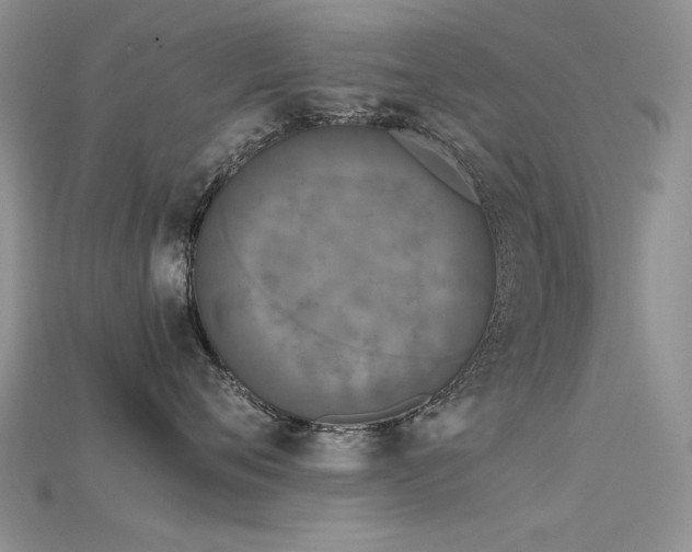 X0000115720720200911121450