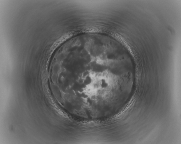 X0000115720721200911121450