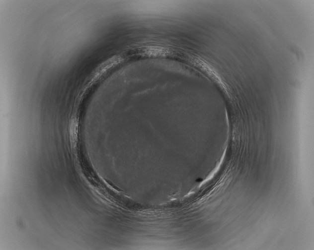 X0000115720722200911121450