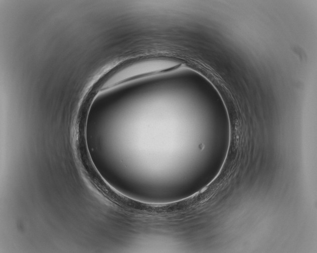 X0000115720726200911121450