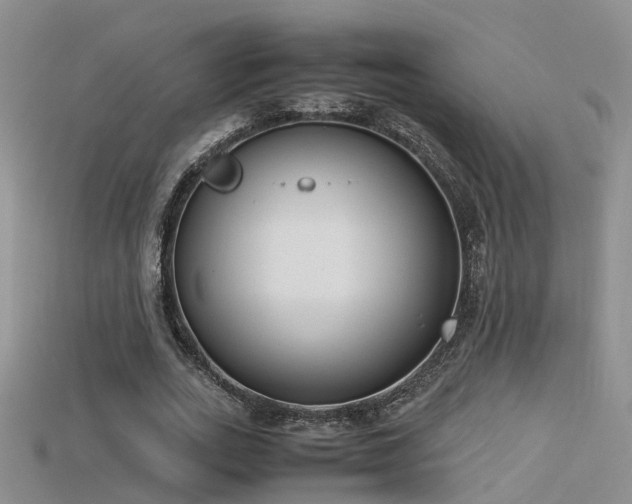X0000115720727200911121450