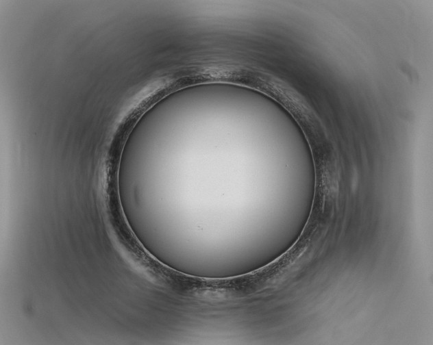 X0000115720730200911121450