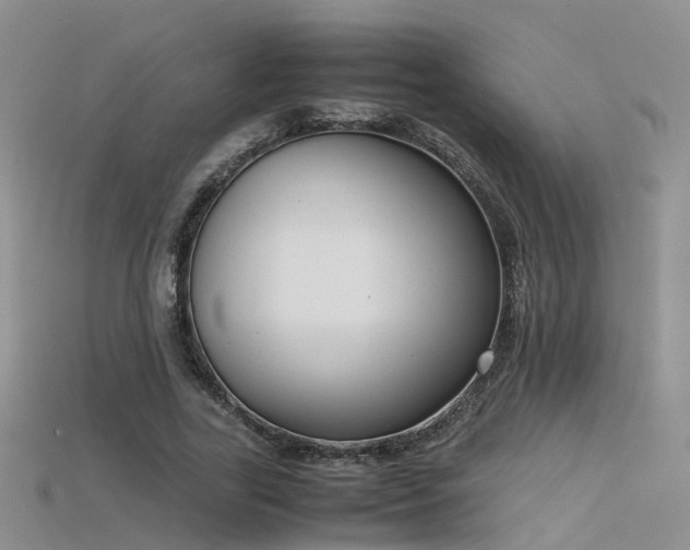 X0000115720731200911121450