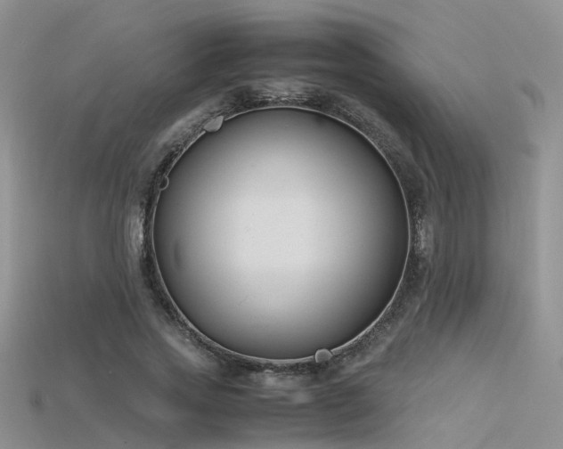 X0000115720733200911121450