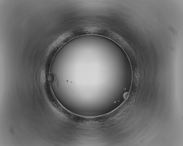 X0000115720734200911121450