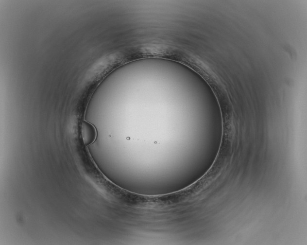X0000115720738200911121450