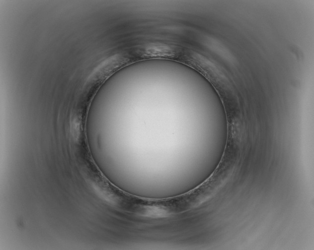X0000115720741200911121450