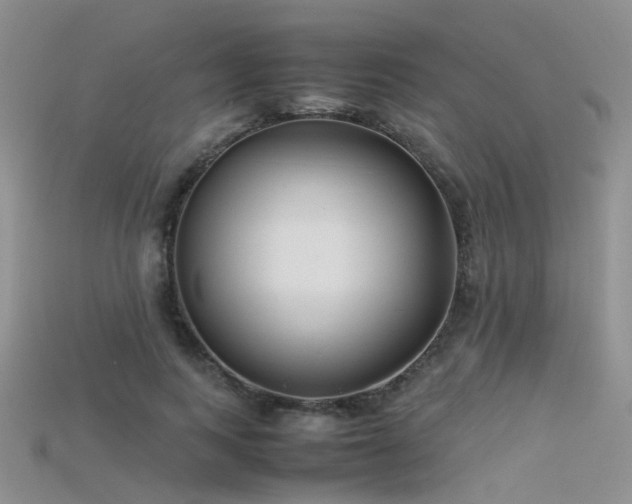 X0000115720743200911121450