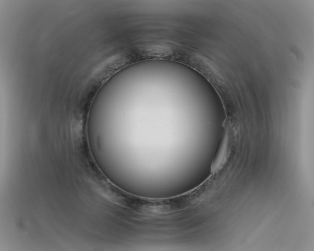 X0000115720745200911121450