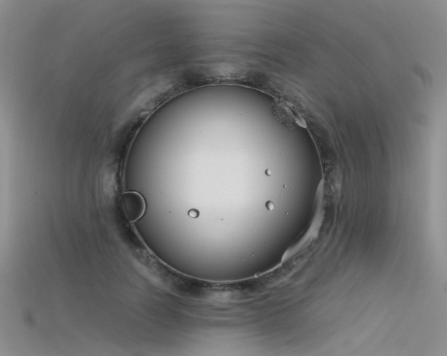 X0000115720746200911121450