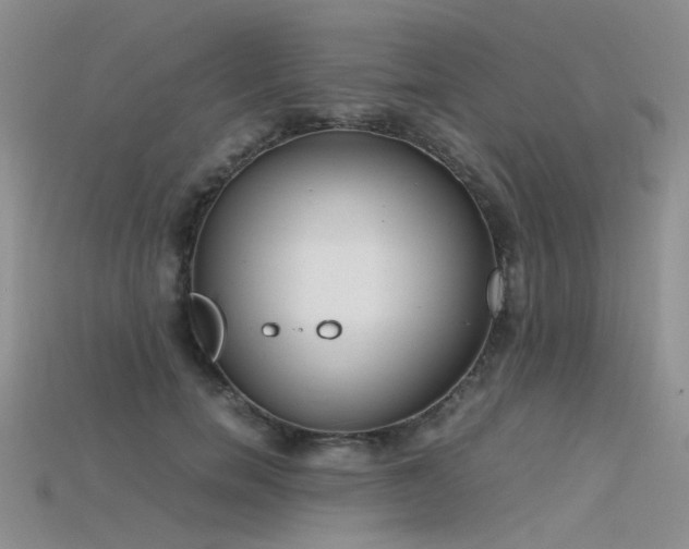 X0000115720750200911121450