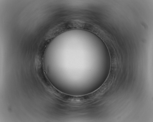 X0000115720751200911121450