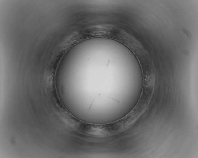 X0000115720753200911121450
