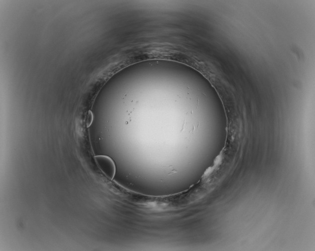 X0000115720755200911121450