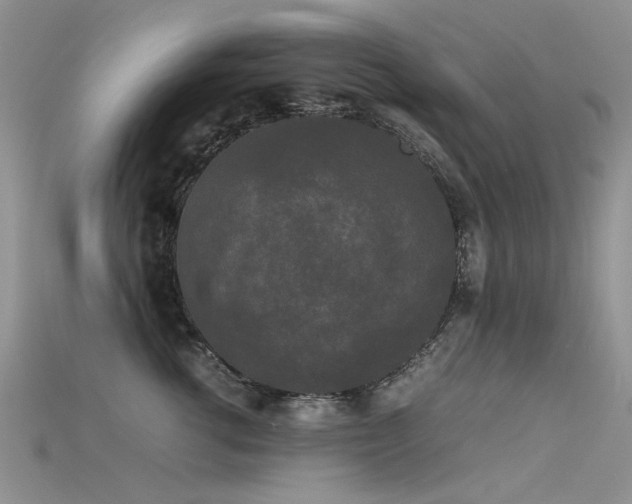 X0000115720762200911121450