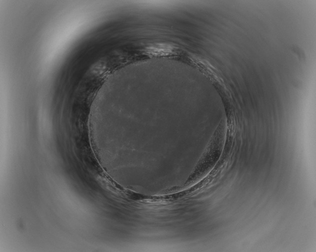 X0000115720763200911121450