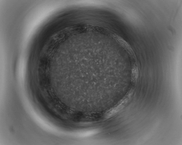 X0000115720765200911121450
