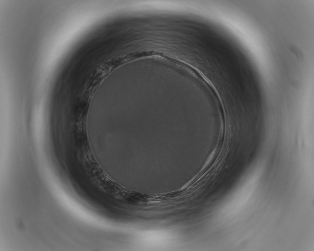 X0000115720766200911121450