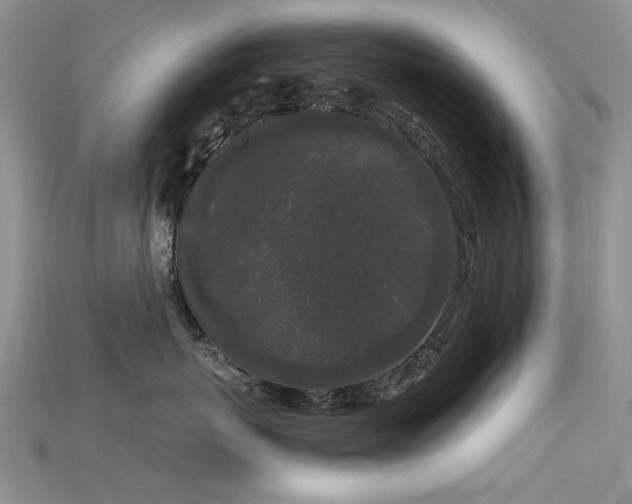 X0000115720767200911121450