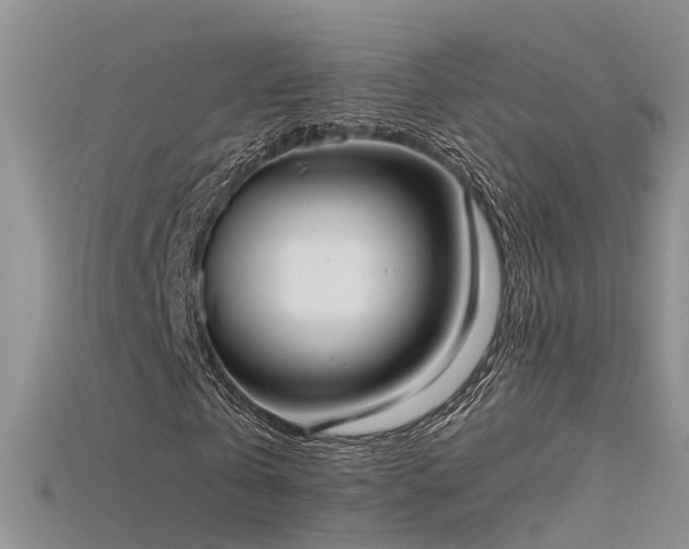 X0000115720769200911121450