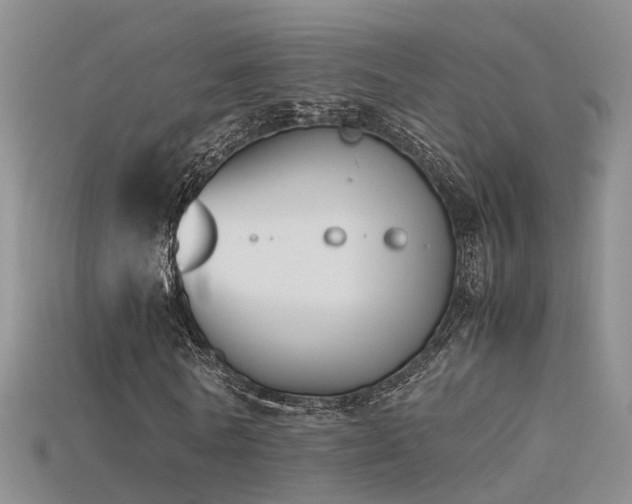 X0000115720770200911121450