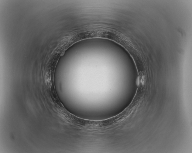 X0000115720771200911121450