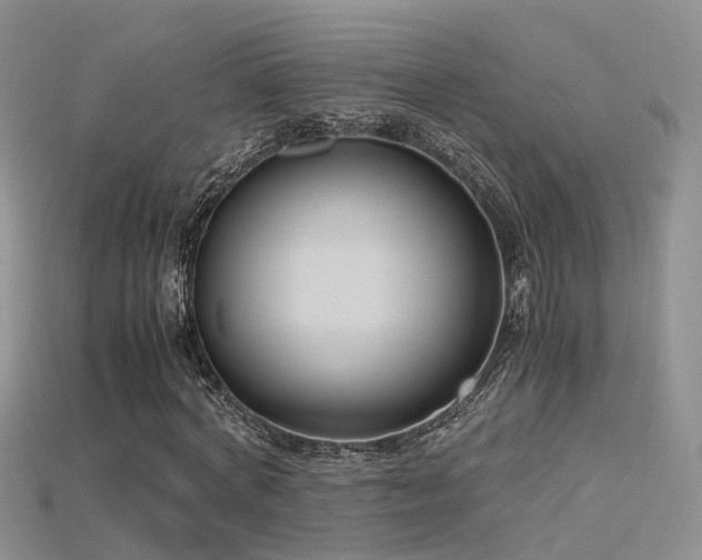 X0000115720772200911121450