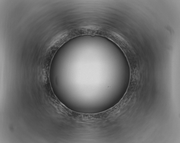 X0000115720774200911121450