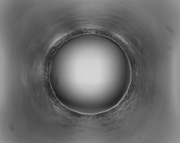 X0000115720775200911121450