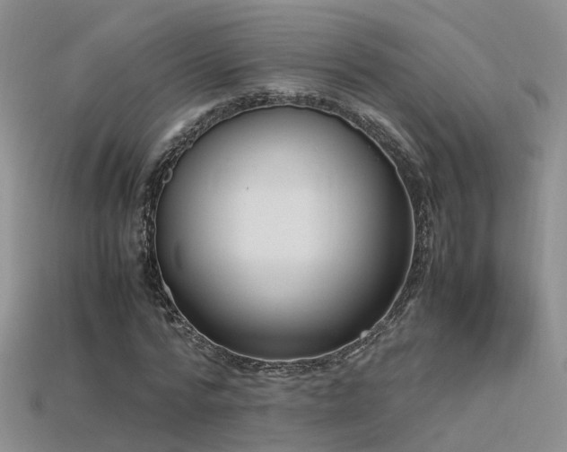 X0000115720776200911121450