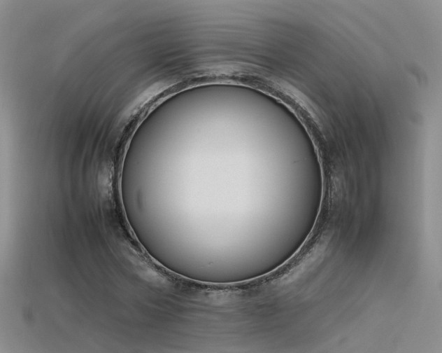 X0000115720778200911121449