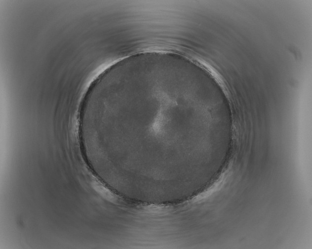 X0000115720779200911121449