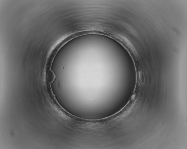 X0000115720780200911121449