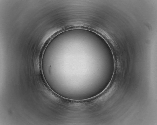 X0000115720782200911121449