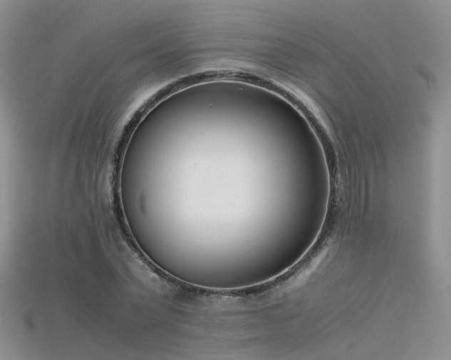 X0000115720783200911121449