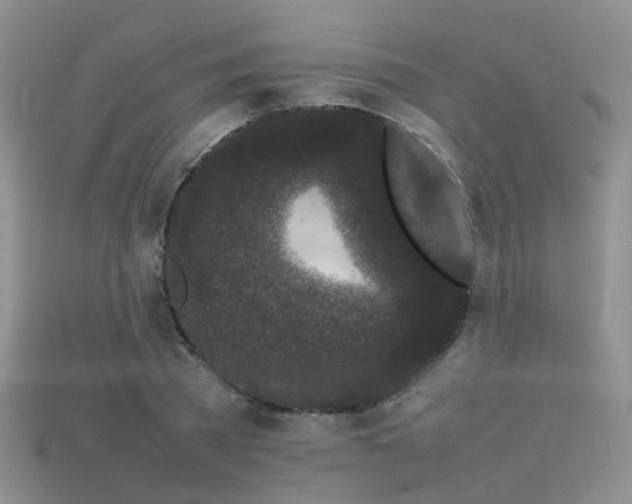 X0000115720785200911121449
