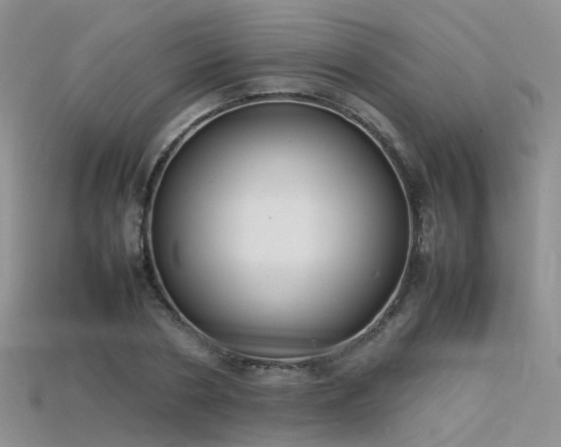 X0000115720786200911121449